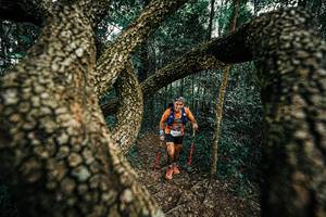 BIB: 
                            <button type="button" onclick="openModal(25393313)" class="btn btn-primary btn-sm float-right btn-popup" data-toggle="modal" data-target=".modal-high-quality">
                        <i class="fas fa-shopping-cart"></i> Add to Cart
                    </button>
                                            <button type="button" onclick="isThisMe(25393313, true)" class="btn btn-success btn-sm float-right btn-popup btn-isme hidden" data-toggle="tooltip" data-placement="bottom" title="นี่คือรูปของคุณใช่ไหม คลิกที่นี่เพื่อเอาเข้าอัลบั้ม">
                        <i class="fas fa-plus"></i> Add to album
                    </button>
                    <button type="button" onclick="isThisMe(25393313, false)" class="btn btn-warning btn-sm float-right btn-popup btn-isnotme hidden">
                        <i class="fas fa-ban"></i> Remove from album
                    </button>